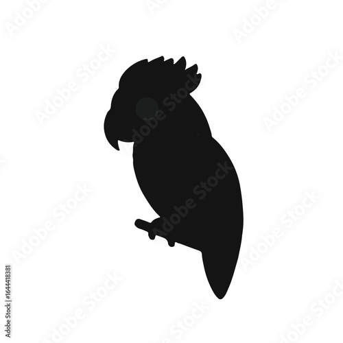 Black Parrot Illustration