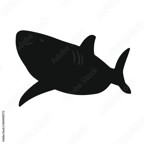 Nurse Shark Illustration