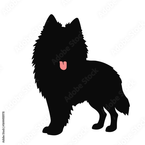 Norwegian Buhund Illustration