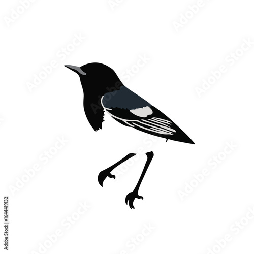 Northern Parula Bird