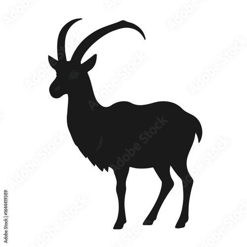 Black Nilgai Animal