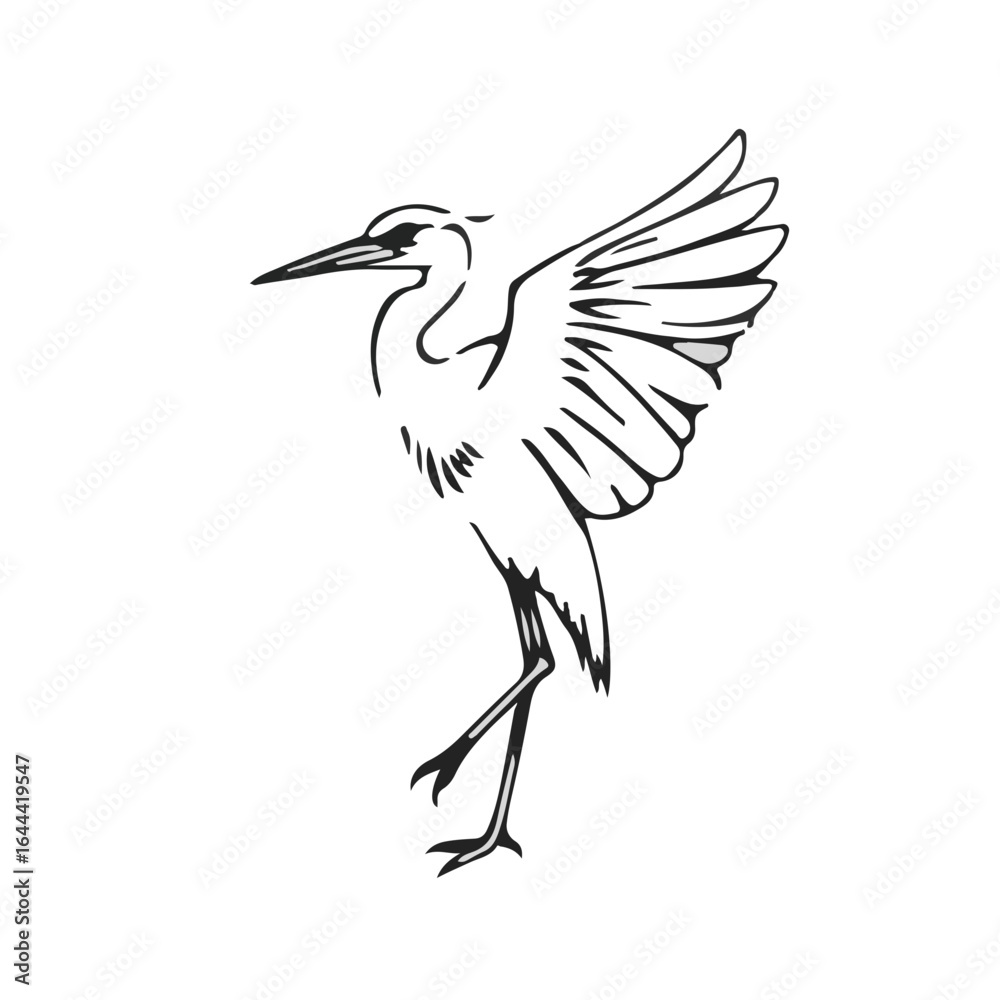 Fototapeta premium Night Heron Animal Symbol