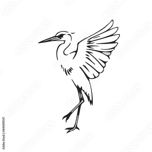 Night Heron Animal Symbol
