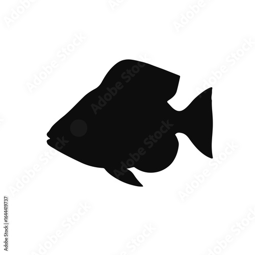 Black Neon Tetra Fish