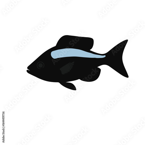 Black Neon Tetra Fish