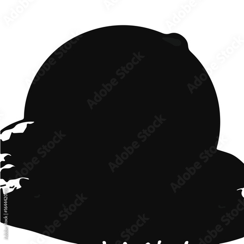 Mozambique Spitting Cobra