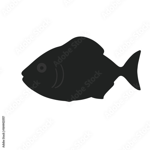 Ocean Sunfish (Mola Mola) Animation