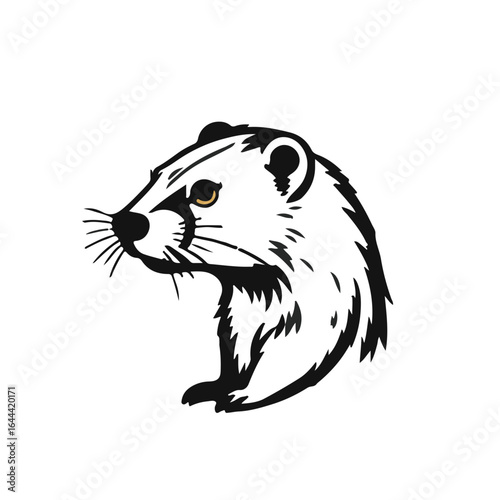 Fotografie Black Muskrat Animal