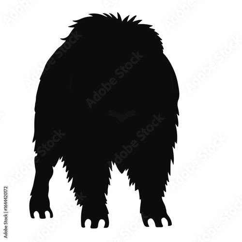 Black Muskox Illustration