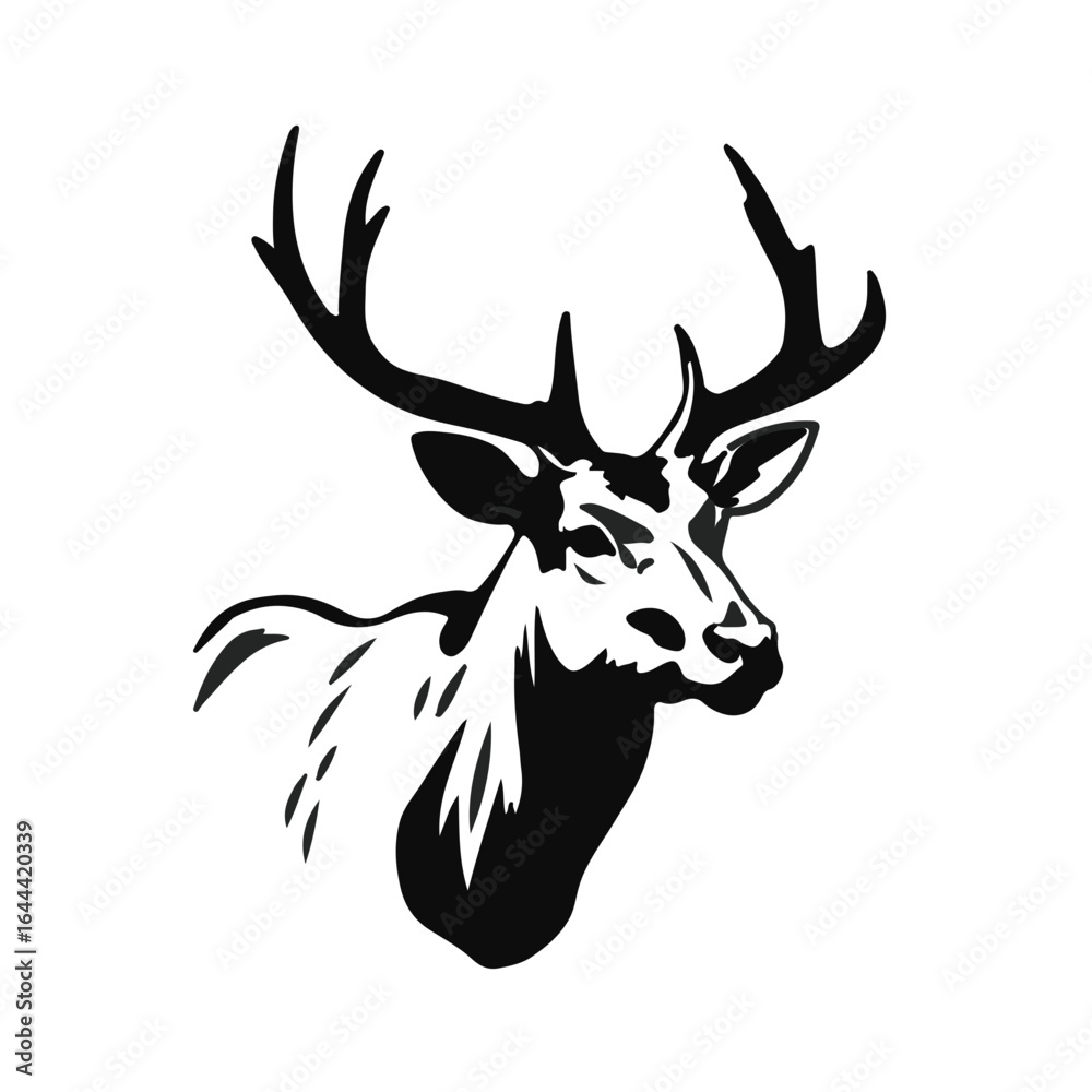 Fototapeta premium Black Mule Deer