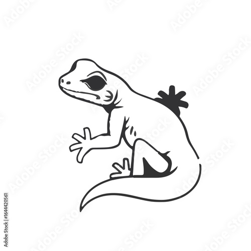 Mourning Gecko Illustration
