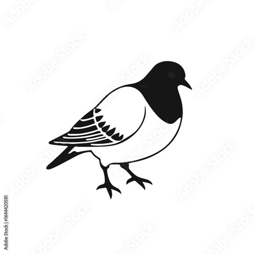 Mourning Dove Illustration