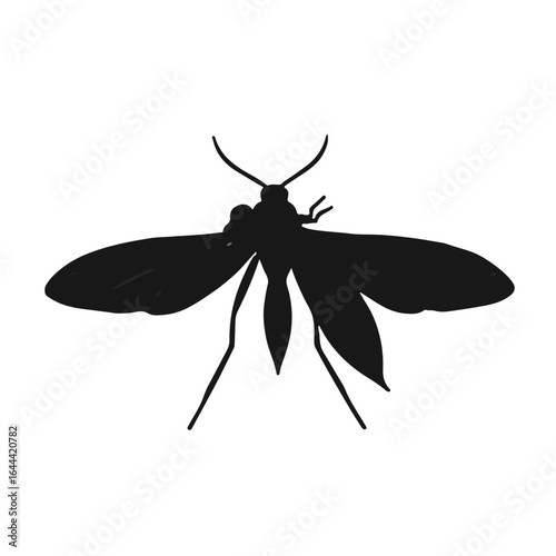Black Mosquito Animal Illustration