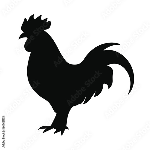 Modern Chicken Animal Illustration