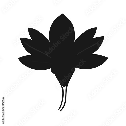 Prehistoric Meiolania