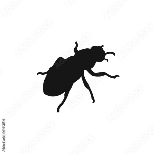 Mealworm Beetle Illustration