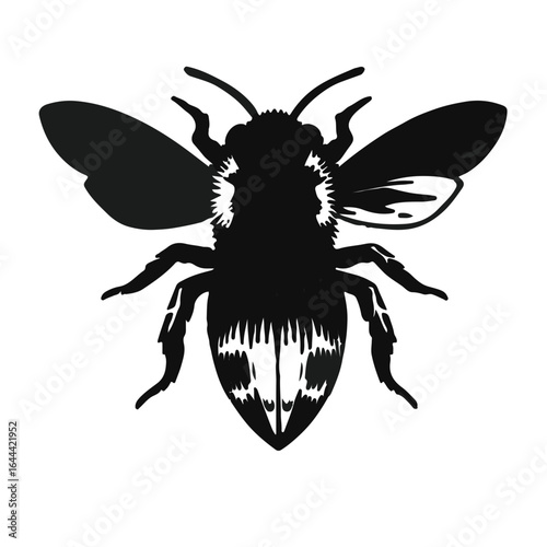 Mason Bee - Black