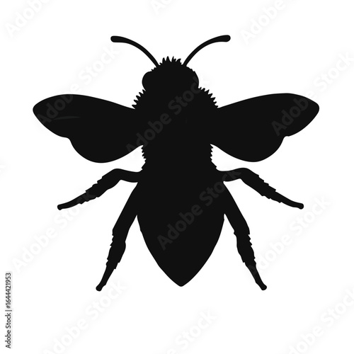 Mason Bee - Black