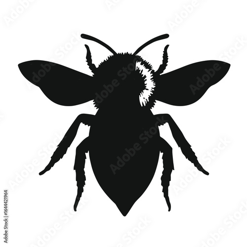 Mason Bee - Black