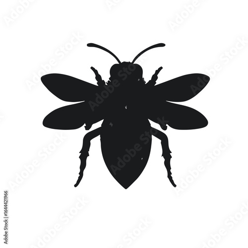 Mason Bee - Black