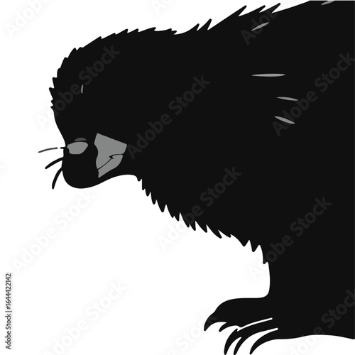 Black Marmoset Illustration
