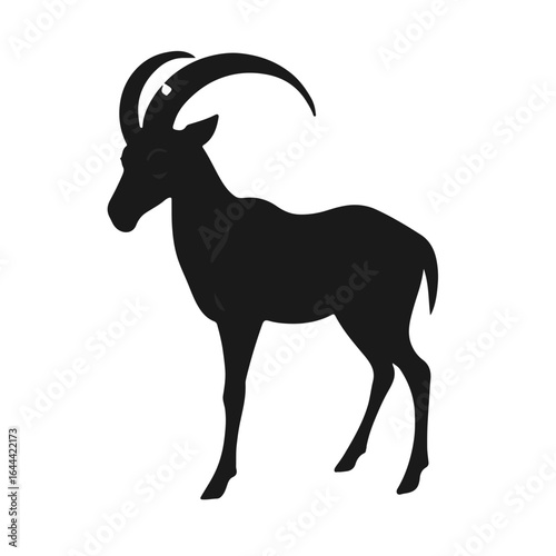 Black Markhor Horn