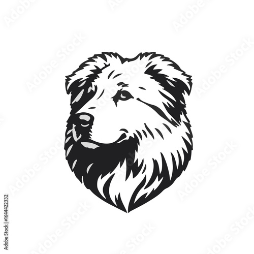 Maremma Sheepdog