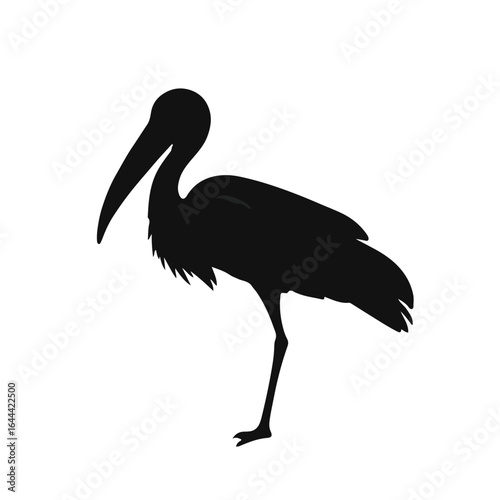 Marabou Stork Animal