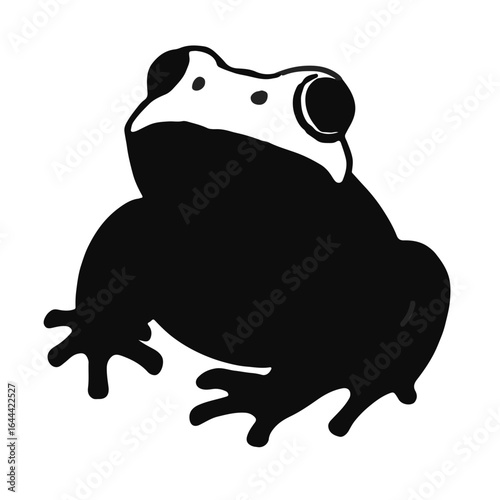 Mantella Frog Visual