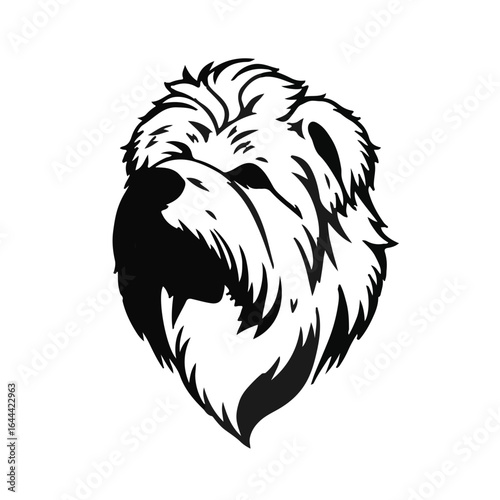 Maltese Black Pet