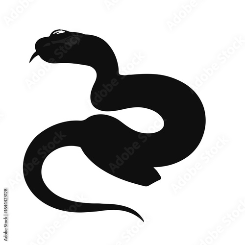 Malayan Krait Animal