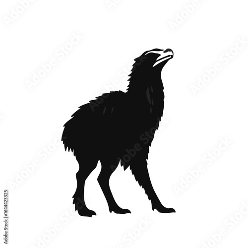 Exotic Animals in Monte Iberia