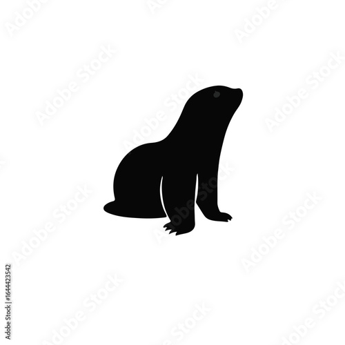 Black Mole Animal