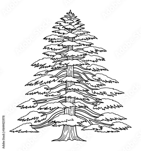 Line Art Illustration of a Towering Redwood Tree with Detailed Foliage