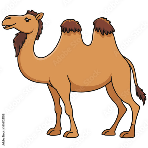 camel in the desert