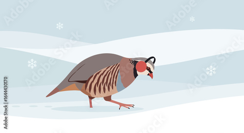 Partridge bird wearing earmuffs in a winter landscape cartoon illustration with snowflakes for seasonal content