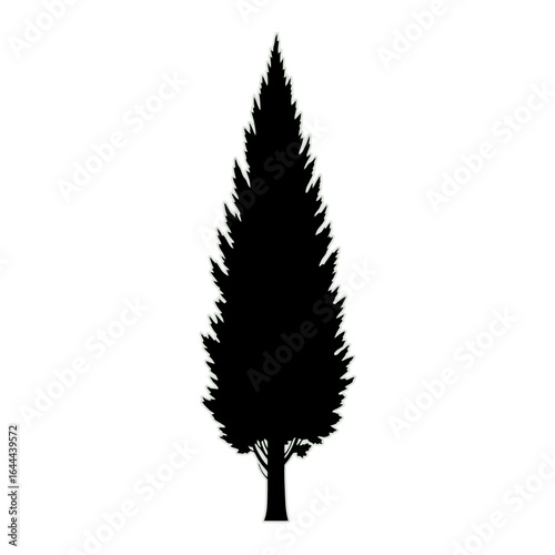 A simple black silhouette of a tall, conical evergreen tree, like a cypress, isolated on a white background.