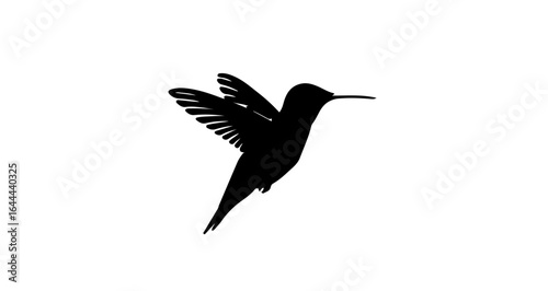 Object hummingbird silhouette vector illustration, flying bird image, nature wildlife design, animal art, colibri icon vector