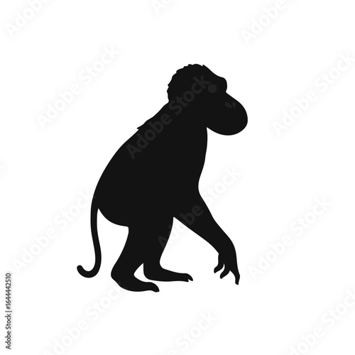 Australopithecus Illustration