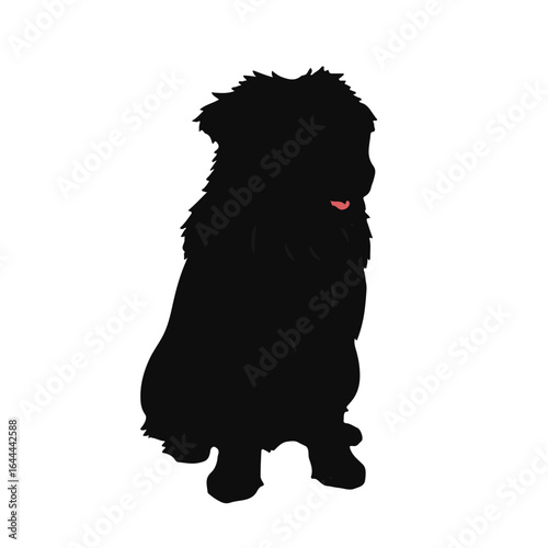 Australian Retriever