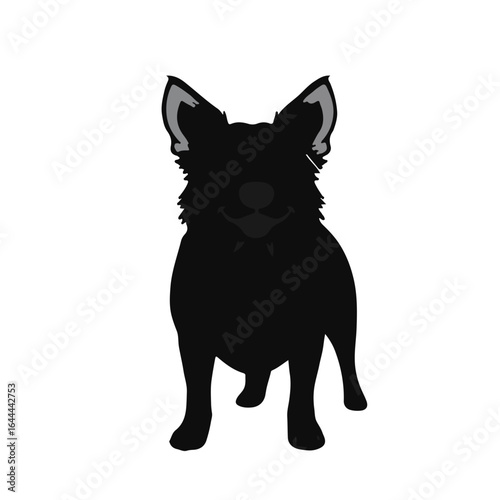 Australian Cattle Dog