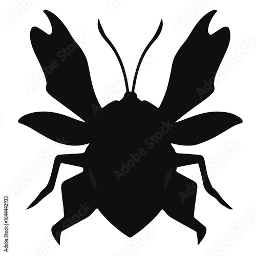 Assassin Bug Animal