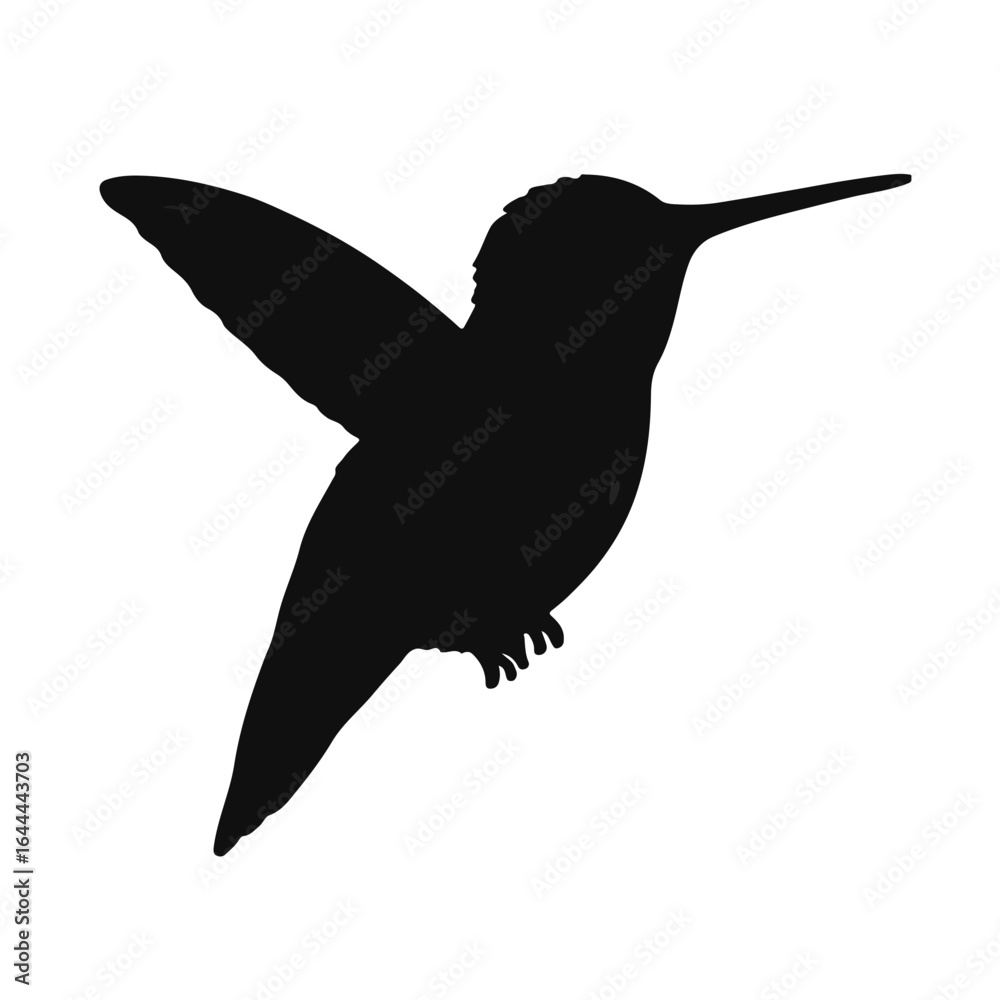 Obraz premium Anna's Hummingbird Image