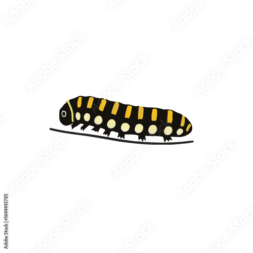 Angled Sunbeam Caterpillar