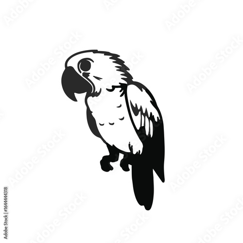 Amazon Parrot illustration