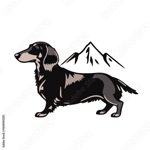 Alpine Dachsbracke Pet