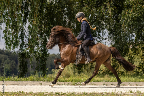 Foto A young woman riding her icelandic horse in gallop at an equestrian competition