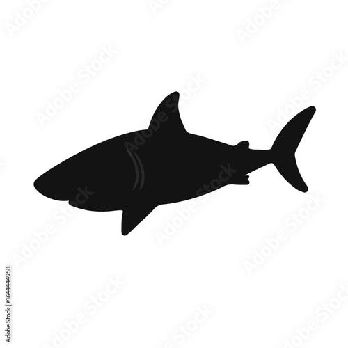 Black Zebra Shark