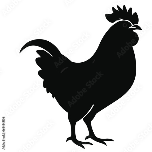 Black Chicken Yokohama Animal