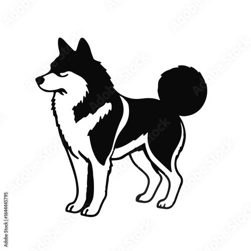 Yakutian Laika Pet